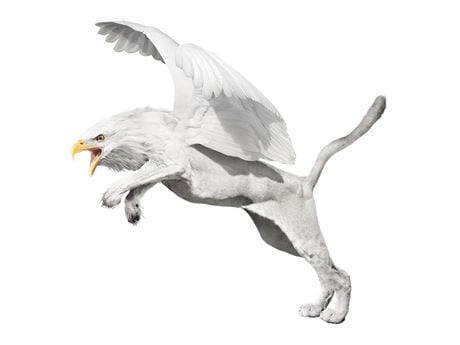 jumping Gryphax