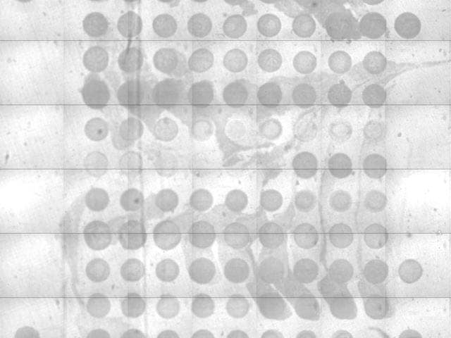 Illuminated Microarray