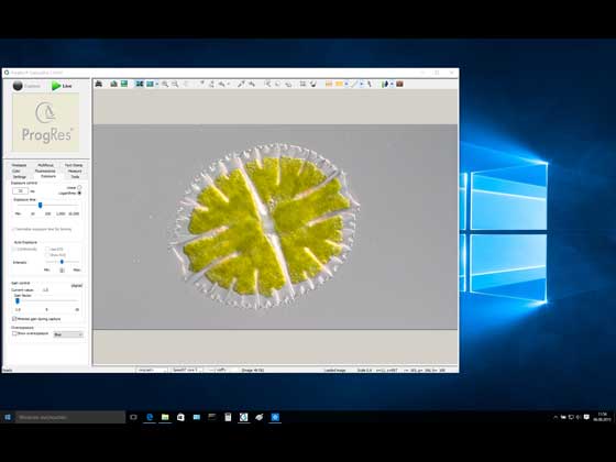 Windows 10 support for all ProgRes cameras