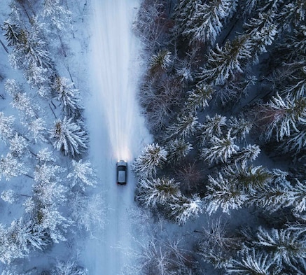 Care driving between trees in winter